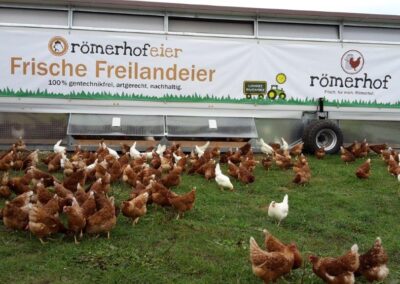 Opa Theo kocht - Beitrag Huhn - Bild 3