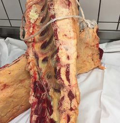 Opa Theo kocht - Beitrag Rind - Bild 3